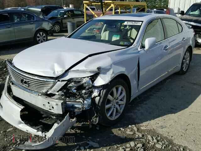 2008 LEXUS LS460 - VIN: JTHBL46F485073646 - Фото 2