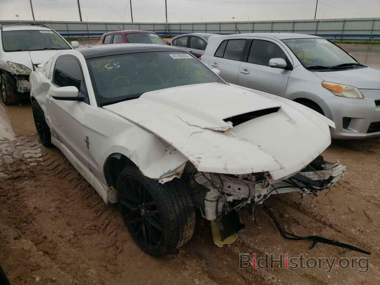 Photo 1ZVBP8AN6A5151746 - FORD MUSTANG 2010