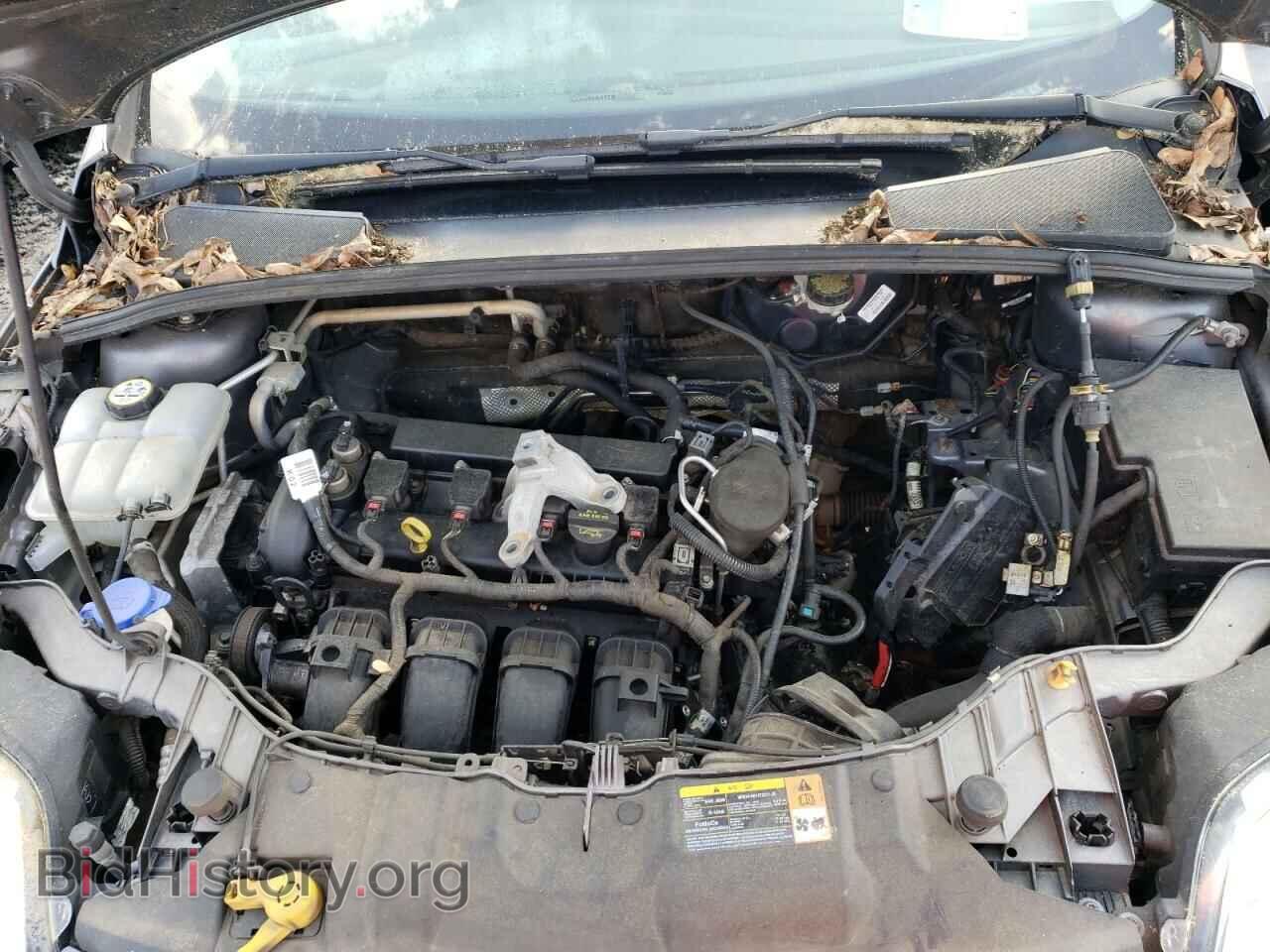 2014 FORD FOCUS - VIN: 1FADP3F20EL243763 - Фото 11