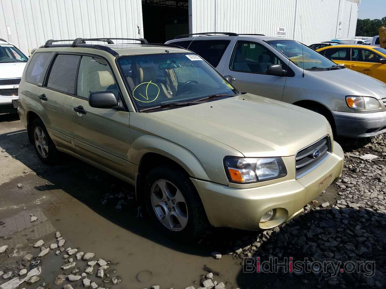 Photo JF1SG65663H734559 - SUBARU FORESTER 2003