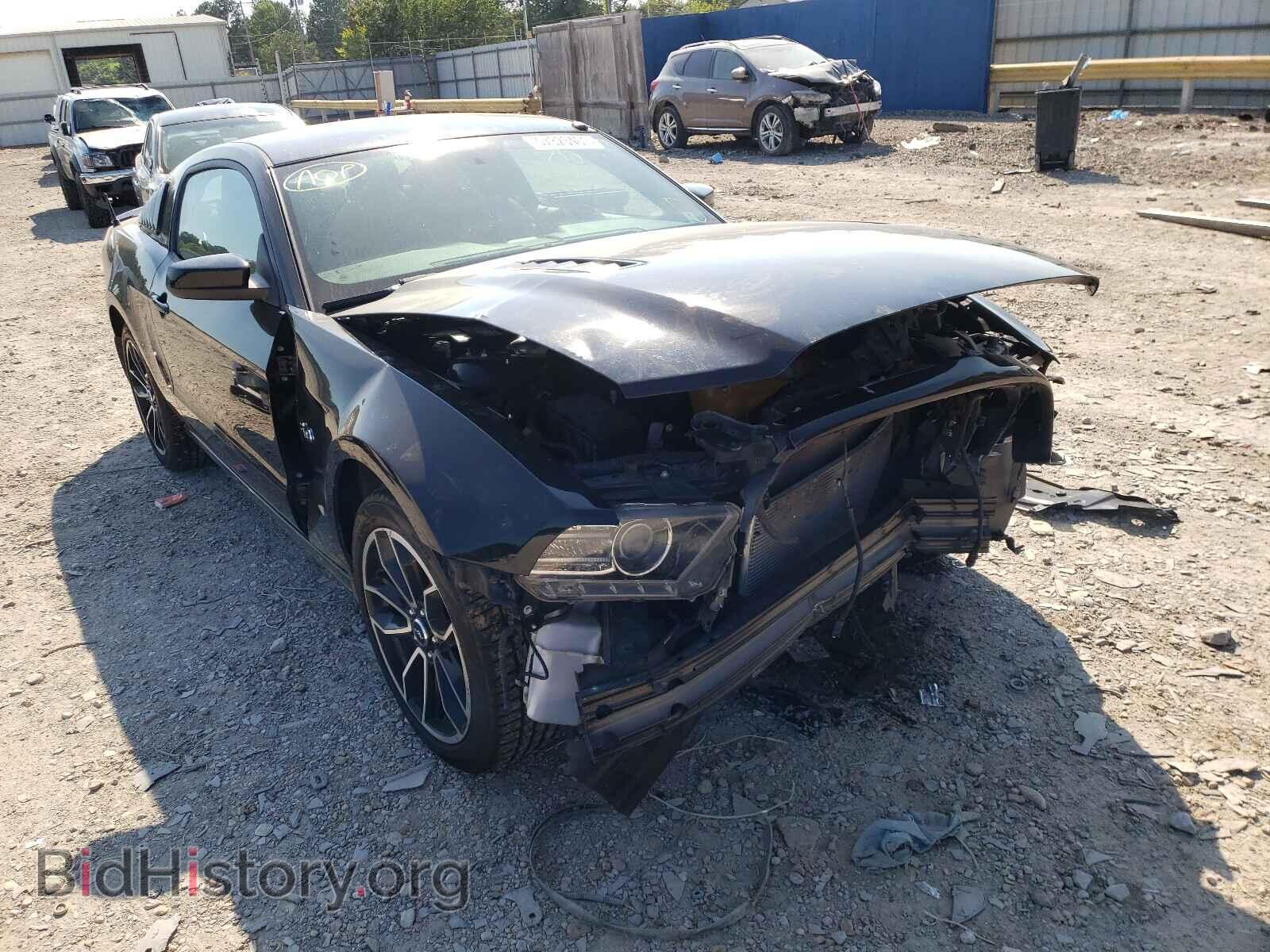 Фотография 1ZVBP8CF4E5251128 - FORD MUSTANG 2014