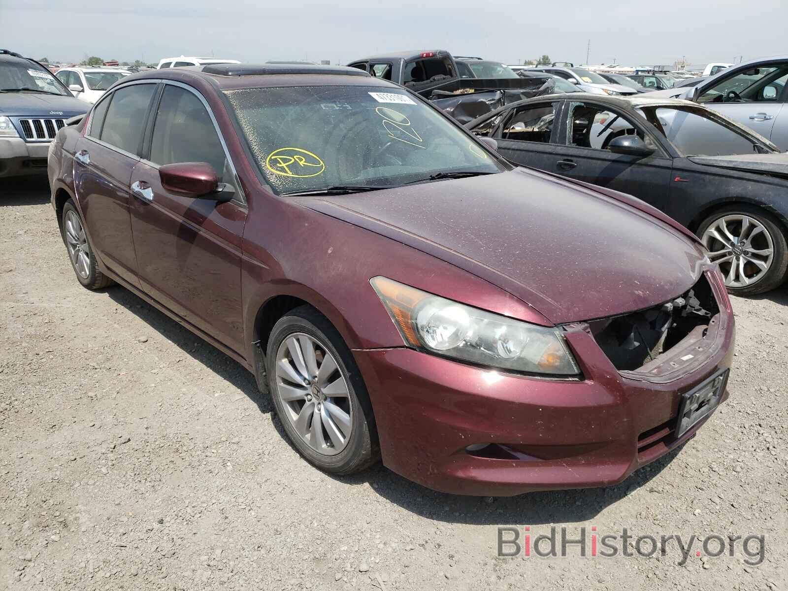 Photo 1HGCP3F83BA010222 - HONDA ACCORD 2011