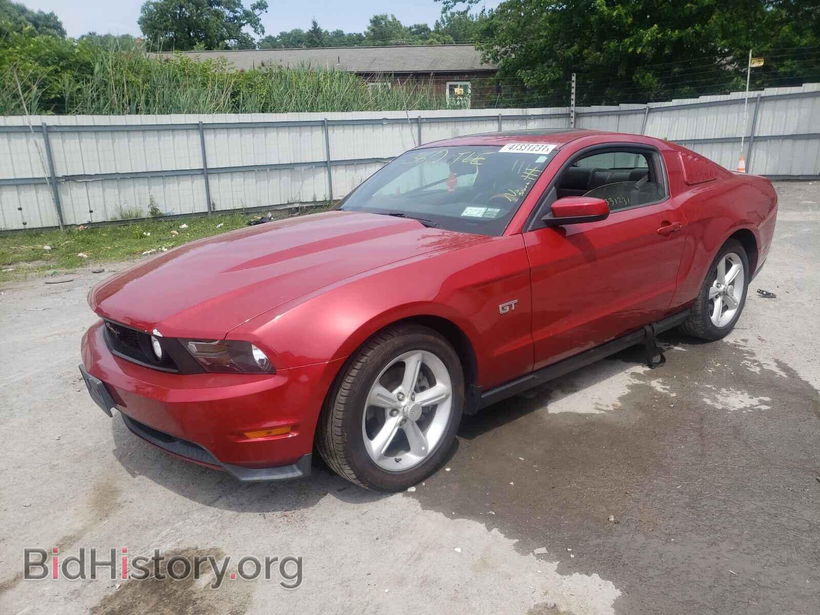 2010 FORD MUSTANG - VIN: 1ZVBP8CH2A5161407 - Фото 2