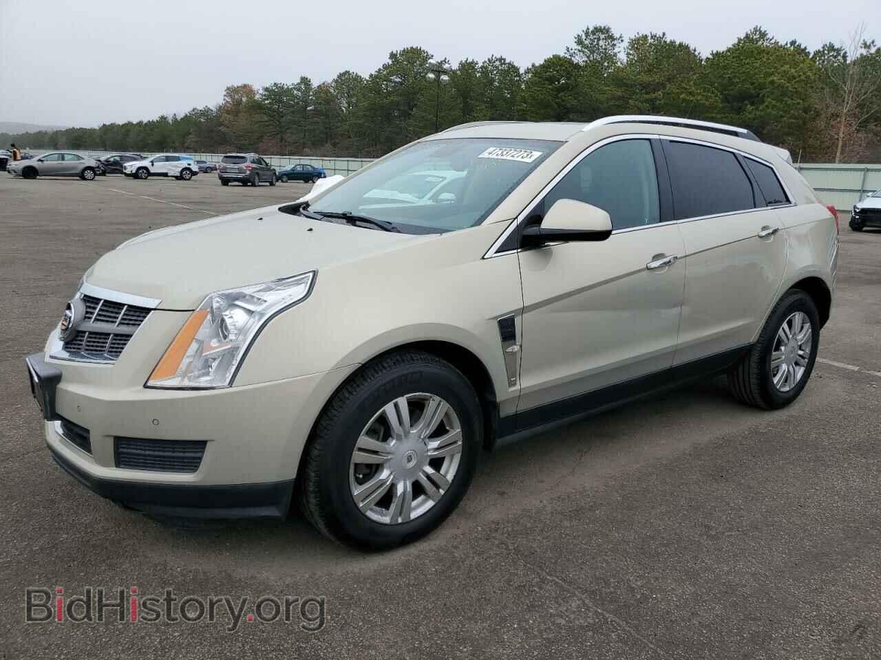 Фотография 3GYFNDE35CS506596 - CADILLAC SRX 2012