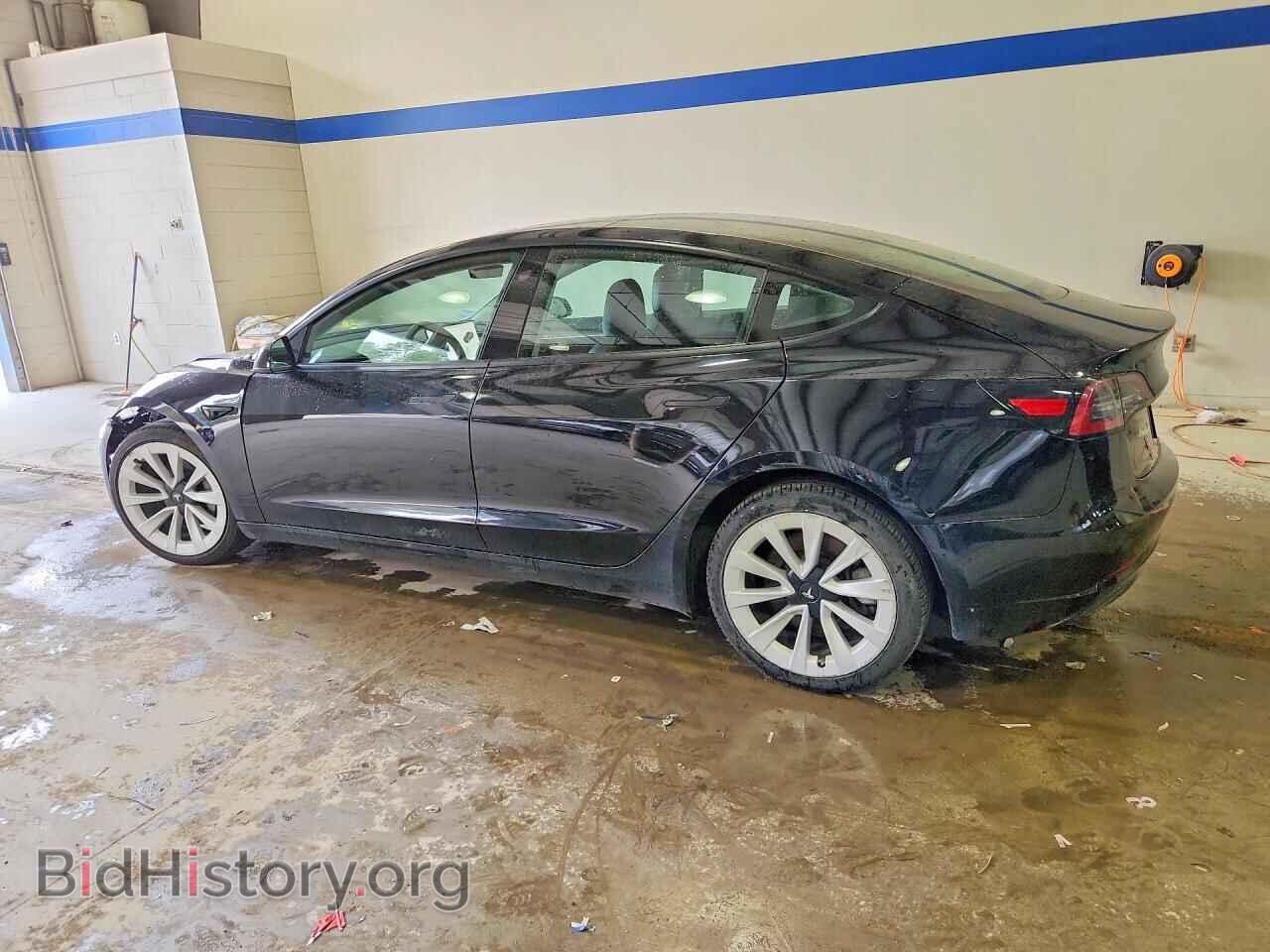 2023 TESLA MODEL 3 - VIN: 5YJ3E1EA1PF449155 - Фото 2