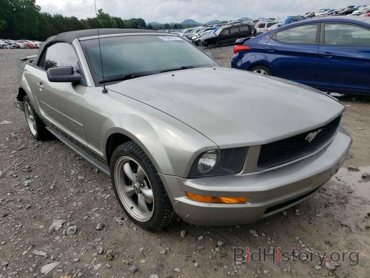 Photo 1ZVHT84N685185908 - FORD MUSTANG 2008
