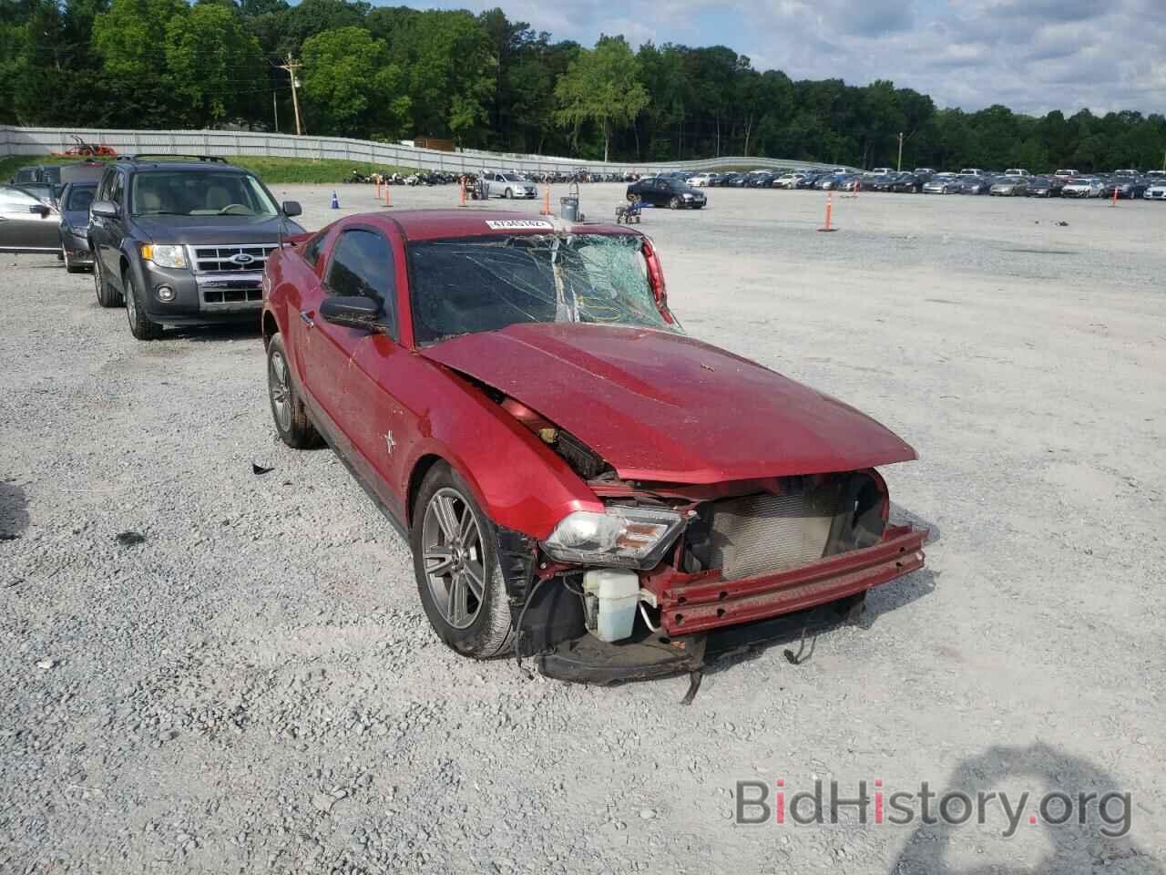 Photo 1ZVBP8AN7A5173402 - FORD MUSTANG 2010