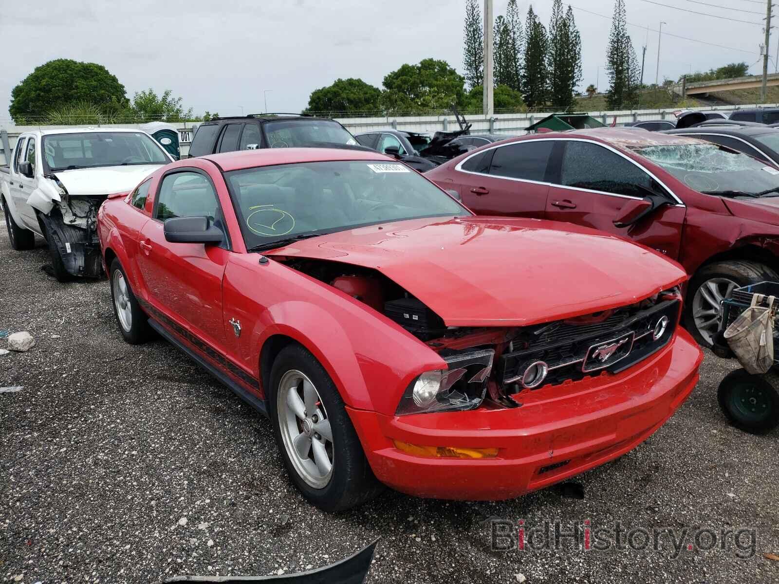 Photo 1ZVHT80N295107567 - FORD MUSTANG 2009