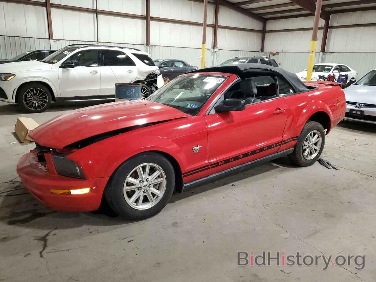 Photo 1ZVHT84N295134861 - FORD MUSTANG 2009