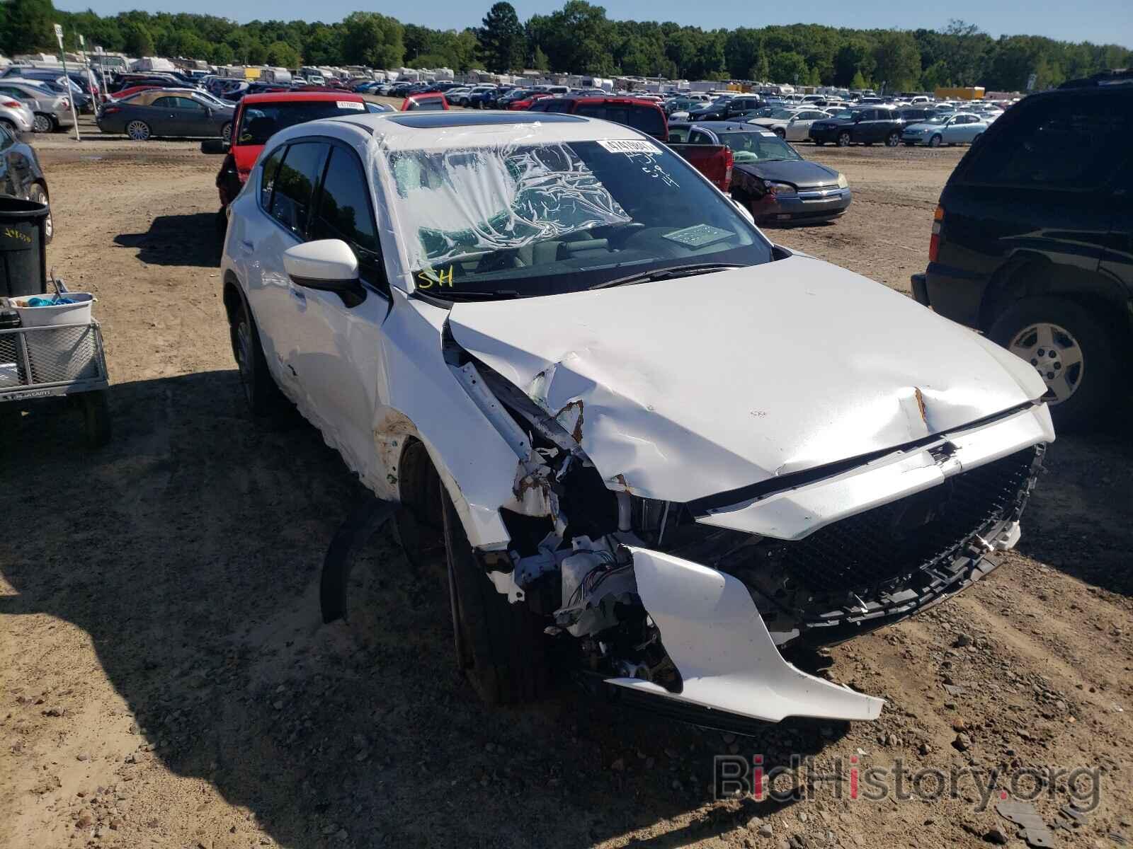 Photo JM3KFADM3K0696308 - MAZDA CX-5 2019