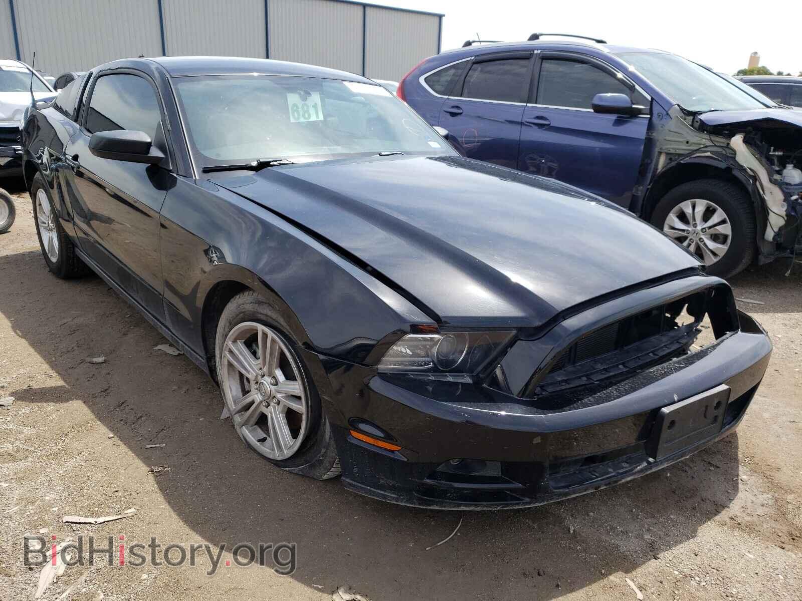 Photo 1ZVBP8AM3E5334633 - FORD MUSTANG 2014