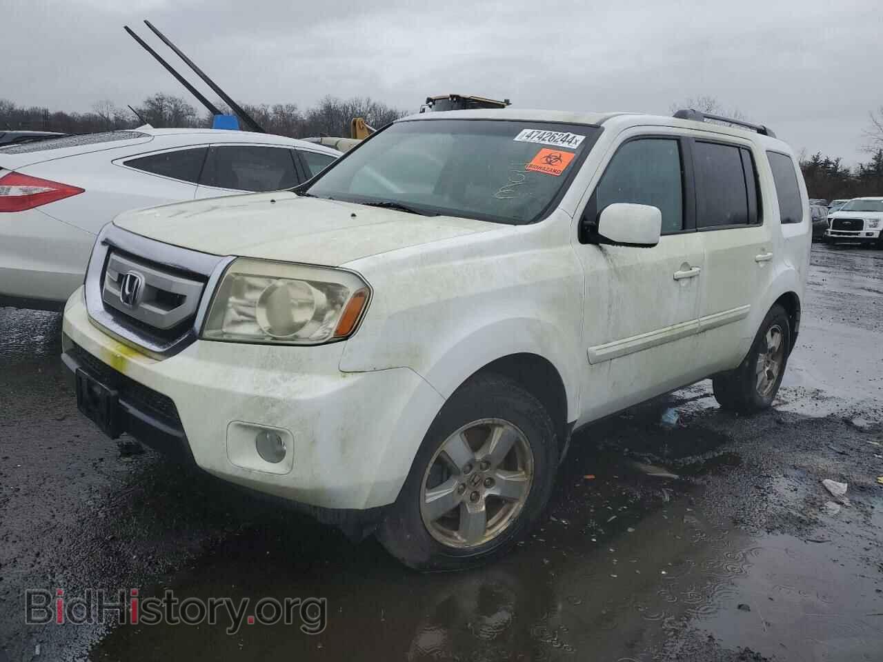Photo 5FNYF4H50BB024456 - HONDA PILOT 2011