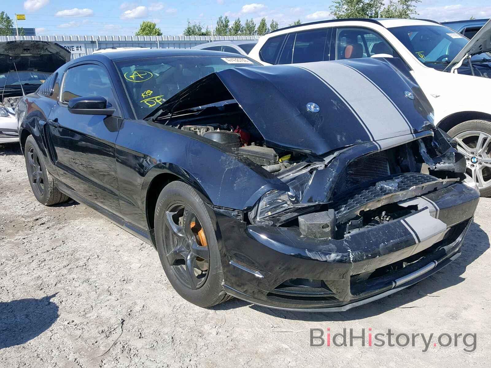 Photo 1ZVBP8AM7D5255707 - FORD MUSTANG 2013