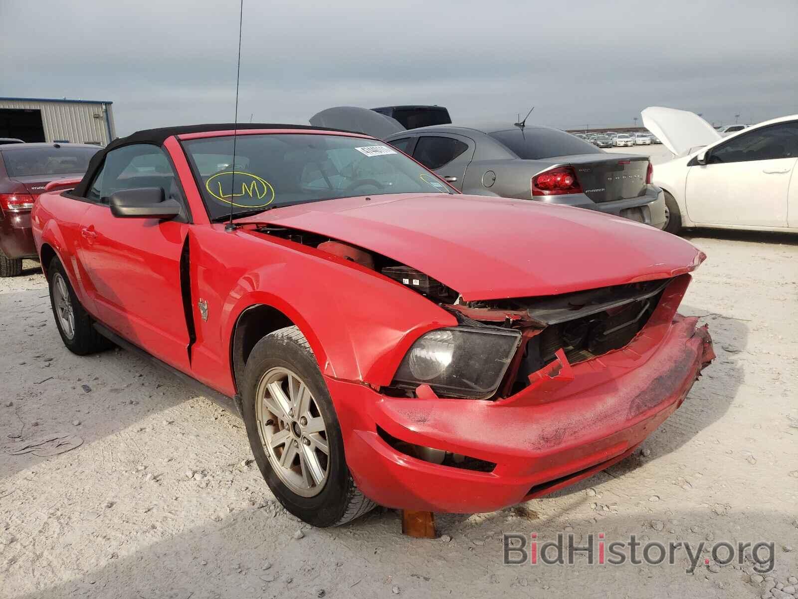 Photo 1ZVHT84N795132801 - FORD MUSTANG 2009