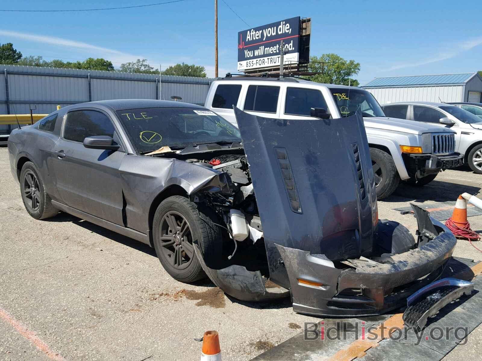 Photo 1ZVBP8AM6D5219314 - FORD MUSTANG 2013