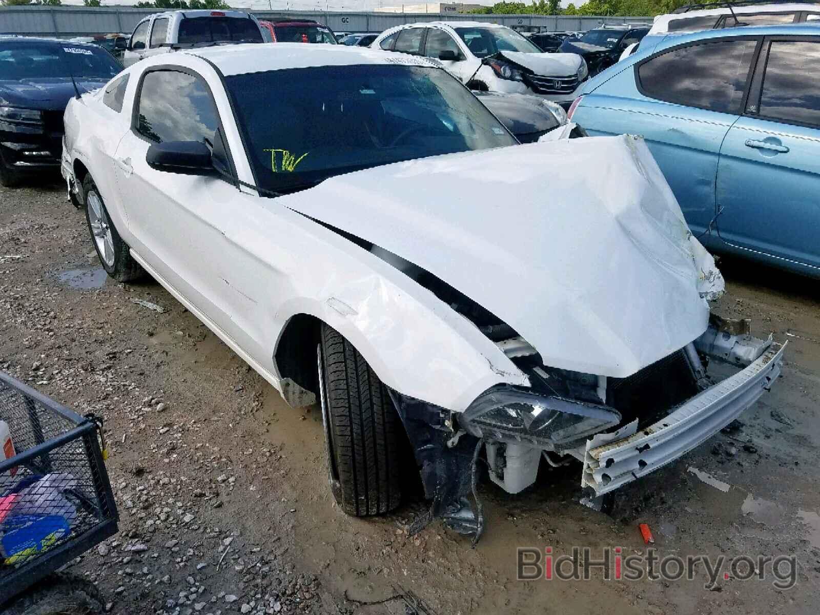 Photo 1ZVBP8AM6D5231902 - FORD MUSTANG 2013