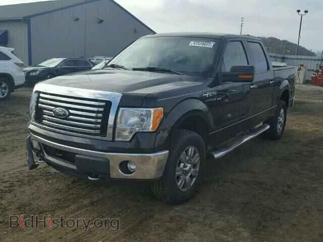 2012 FORD F150 - VIN: 1FTFW1EF2CFB08018 - Фото 2