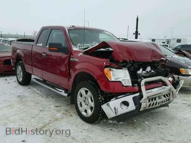 Photo 1FTFX1EF3DFD06508 - FORD F150 2013