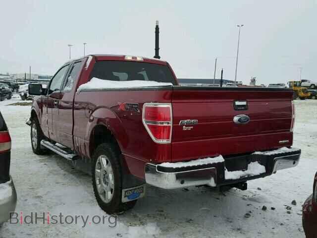 2013 FORD F150 - VIN: 1FTFX1EF3DFD06508 - Фото 3