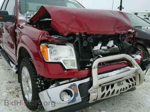 2013 FORD F150 - VIN: 1FTFX1EF3DFD06508 - Фото 9