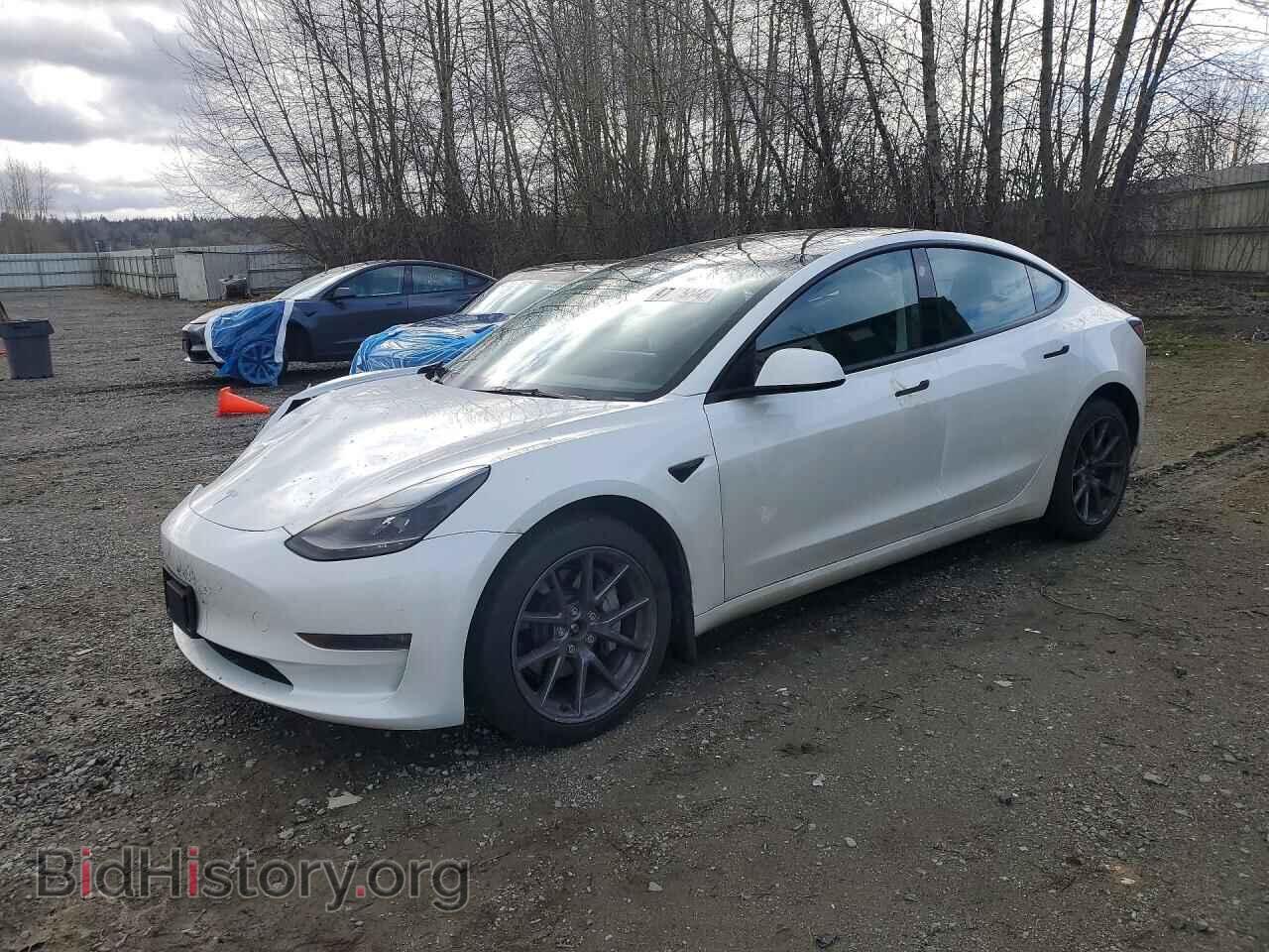 Фотография 5YJ3E1EB4PF636799 - TESLA MODEL 3 2023