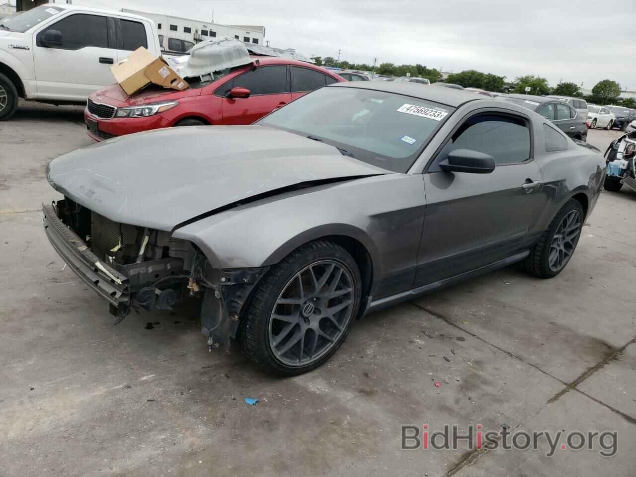 Photo 1ZVBP8AN7A5114737 - FORD MUSTANG 2010