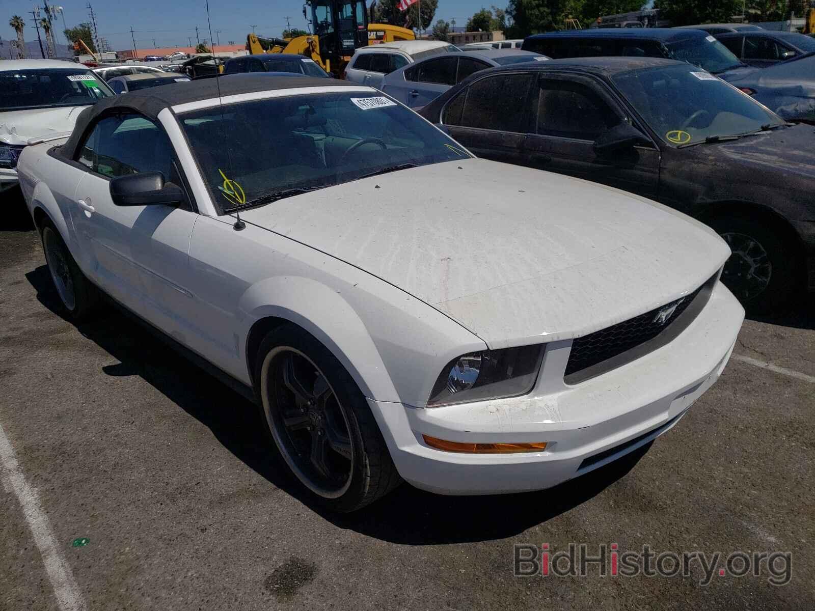 Photo 1ZVFT84NX75368637 - FORD MUSTANG 2007