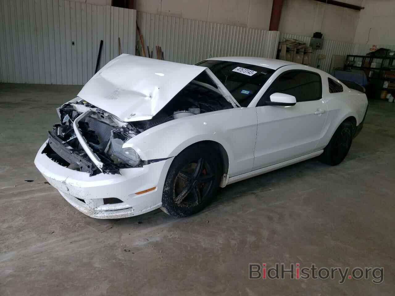 Photo 1ZVBP8AM7D5251267 - FORD MUSTANG 2013