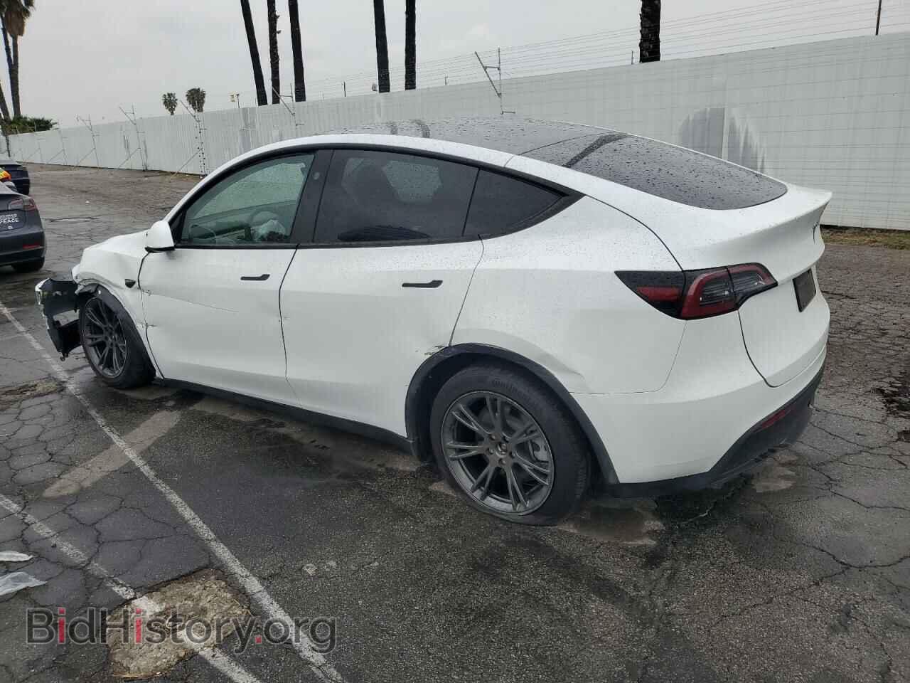2024 TESLA MODEL Y - VIN: 7SAYGDEE0RF165672 - Photo 2