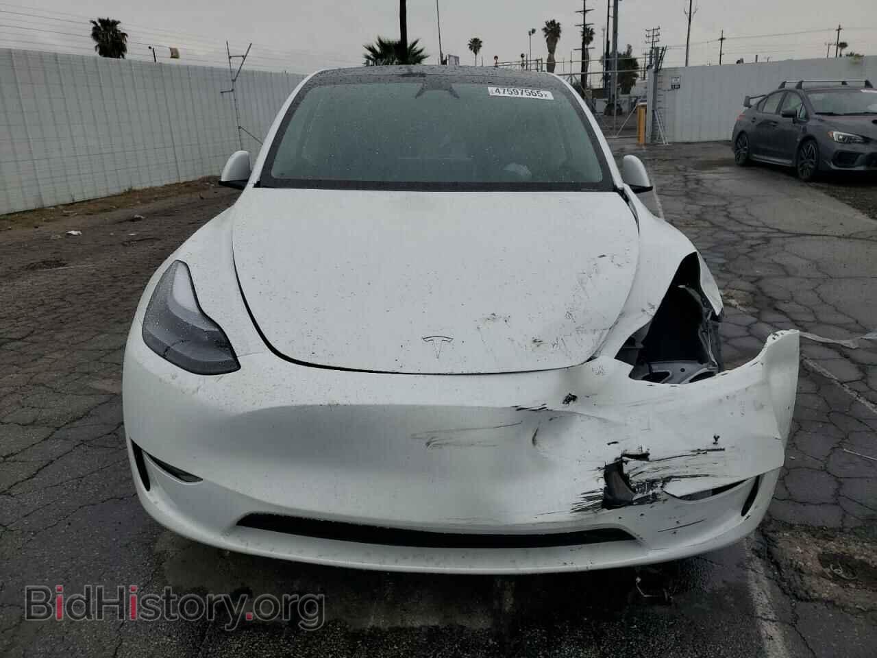 2024 TESLA MODEL Y - VIN: 7SAYGDEE0RF165672 - Photo 5