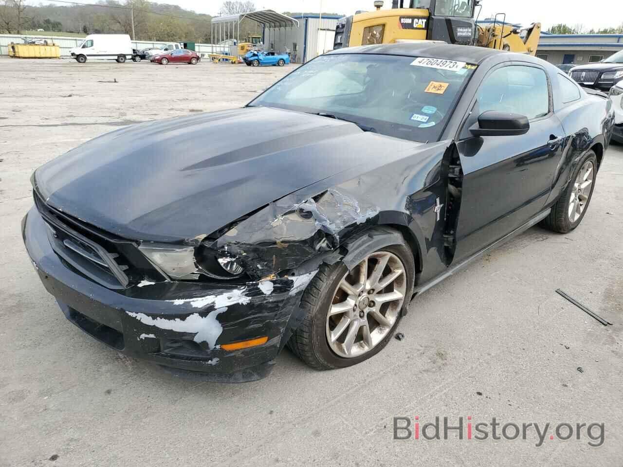 Photo 1ZVHP8AN3A5126250 - FORD MUSTANG 2010