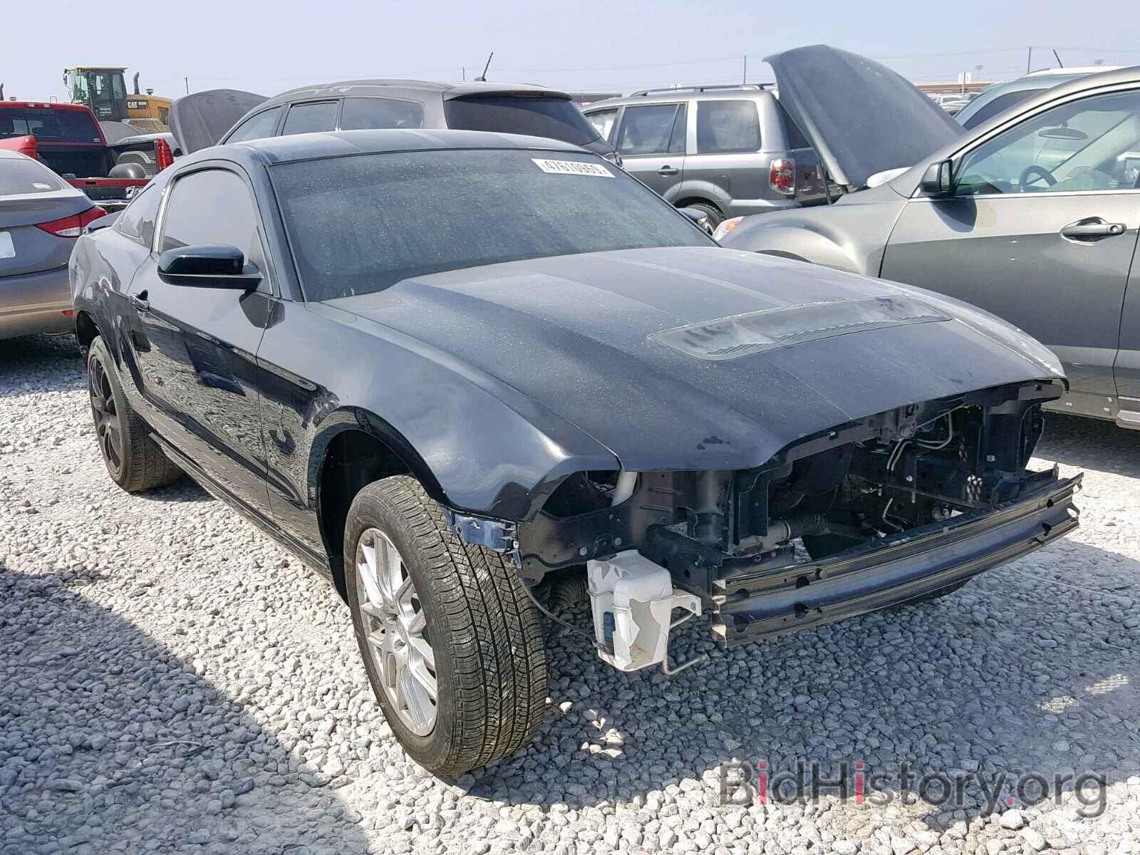 Photo 1ZVBP8JZ7D5248994 - FORD MUSTANG 2013