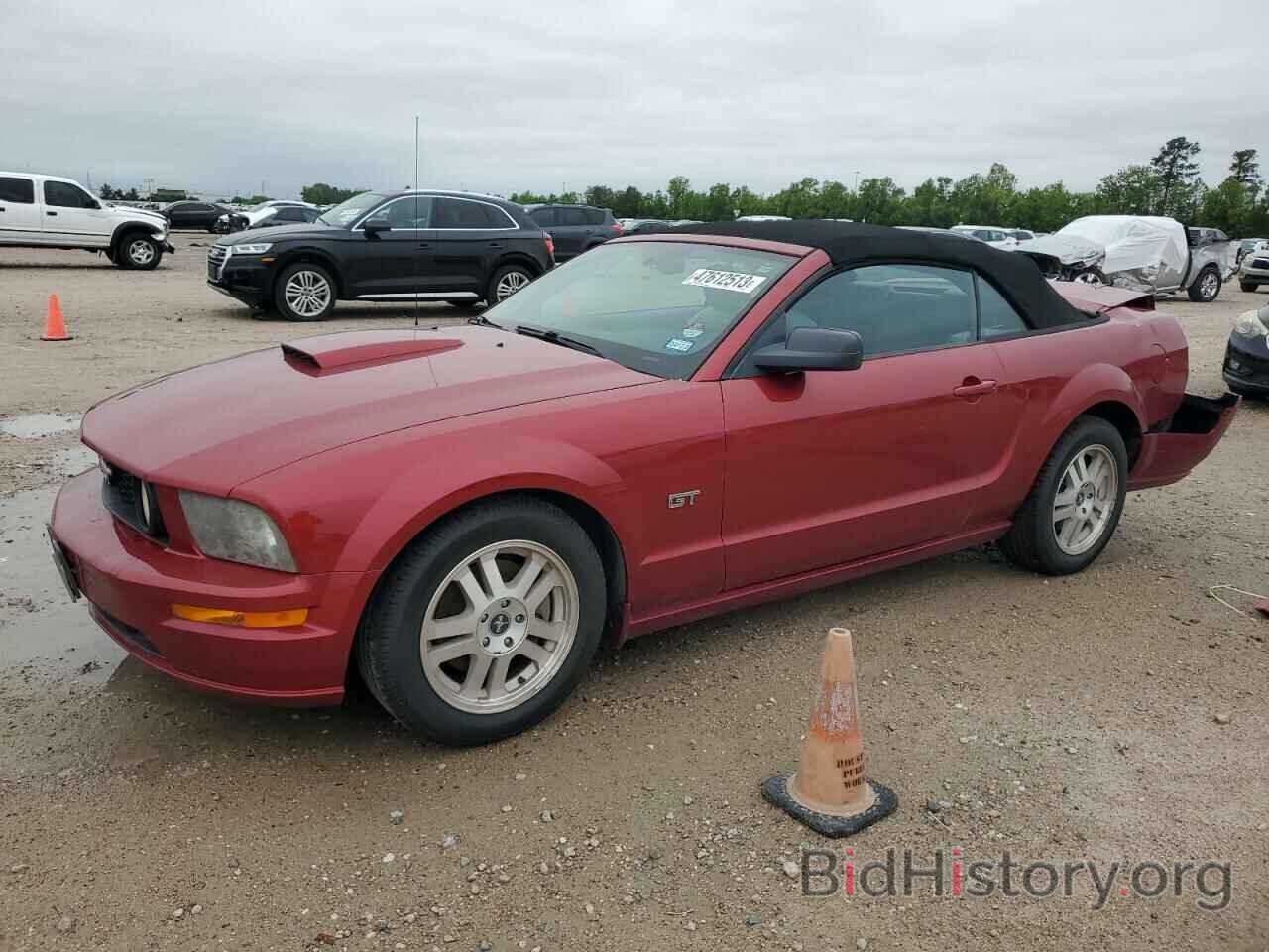 Photo 1ZVHT85H875300919 - FORD MUSTANG 2007