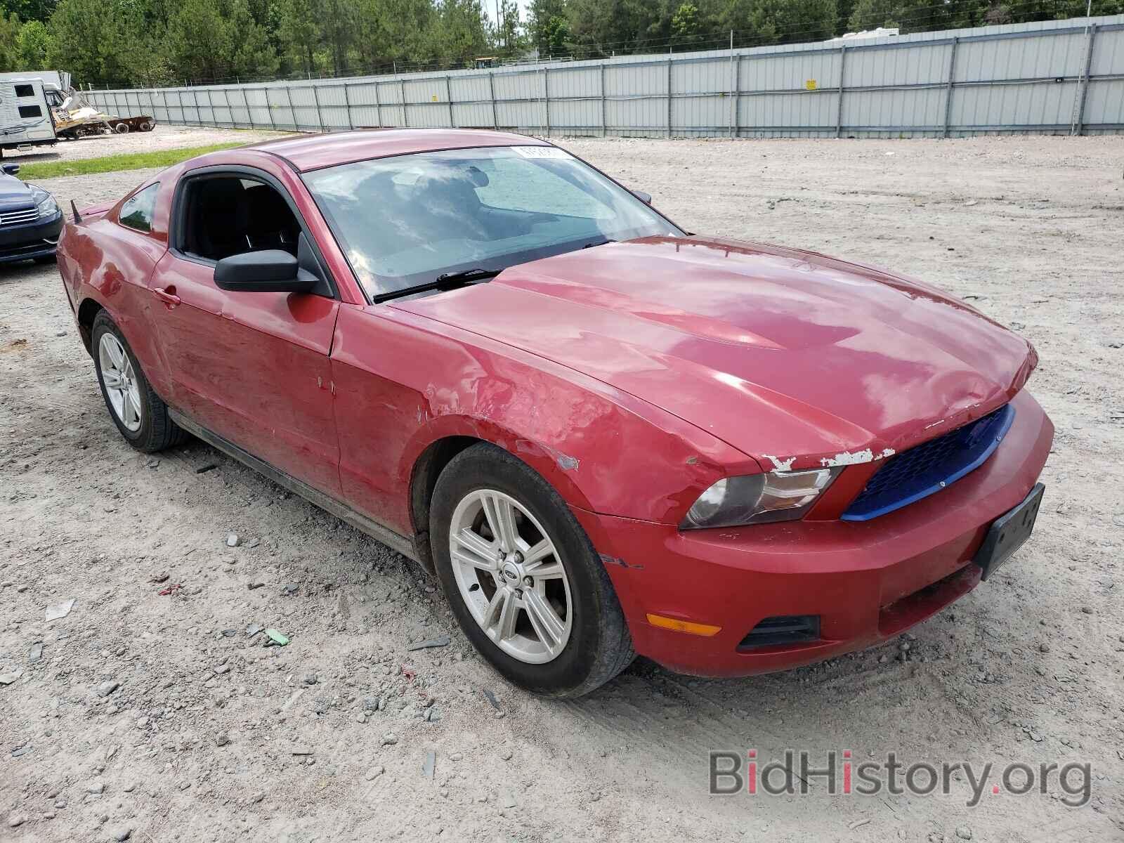 Photo 1ZVBP8AM2B5135052 - FORD MUSTANG 2011