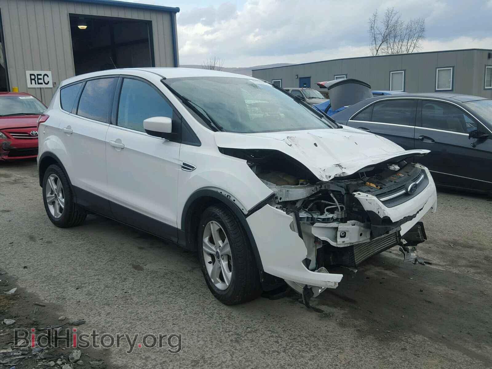 Фотография 1FMCU9G90DUA80291 - FORD ESCAPE 2013