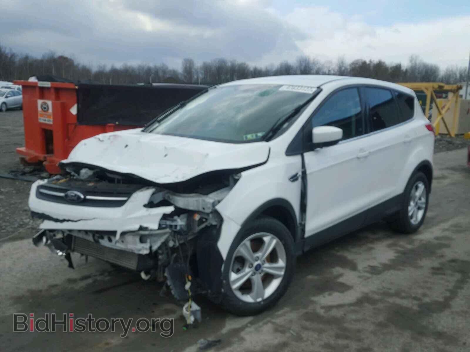 2013 FORD ESCAPE - VIN: 1FMCU9G90DUA80291 - Фото 2