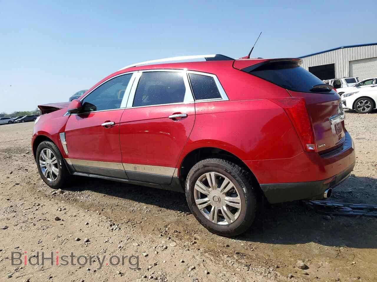 2010 CADILLAC SRX - VIN: 3GYFNAEY3AS519774 - Фото 2