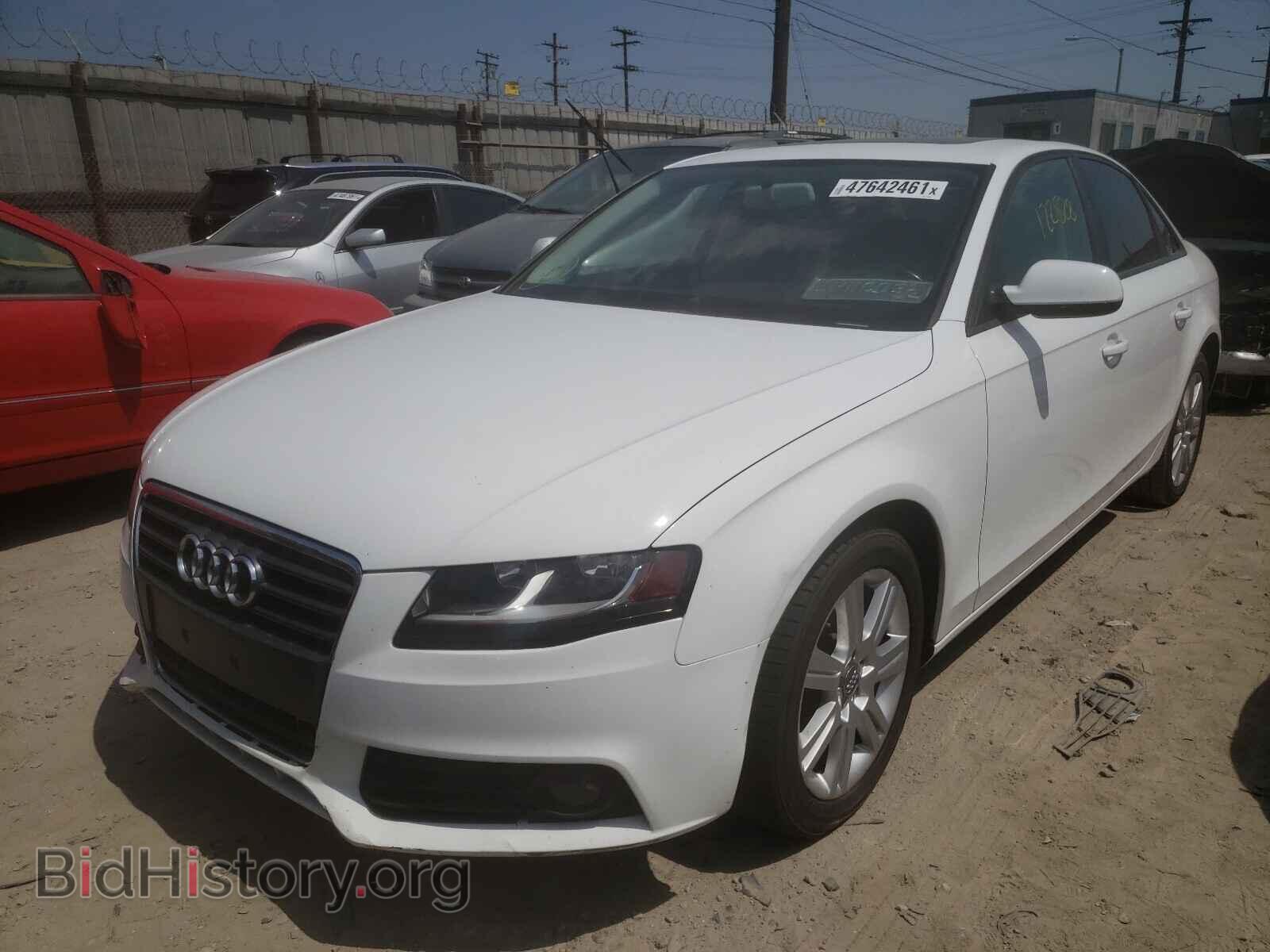 2010 AUDI A4 - VIN: WAUAFAFLXAN036256 - Фото 2