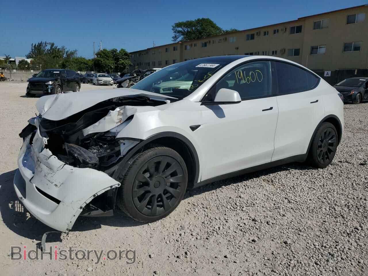 Фотография 7SAYGAEE9PF856484 - TESLA MODEL Y 2023