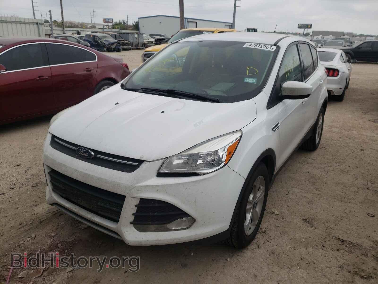 2014 FORD ESCAPE - VIN: 1FMCU0GX2EUC21034 - Фото 2