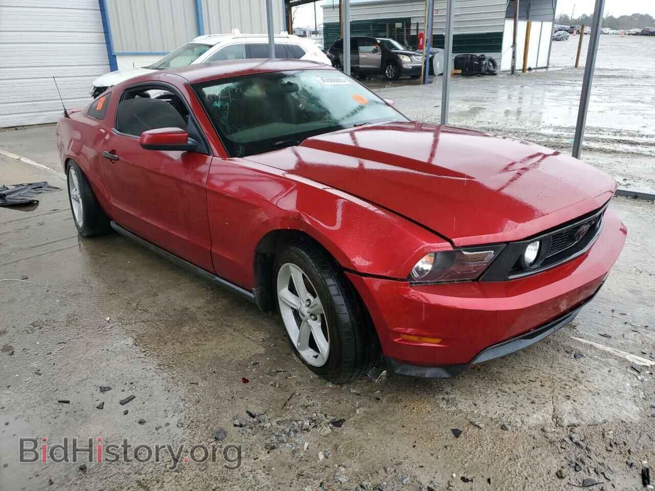 2010 FORD MUSTANG - VIN: 1ZVBP8CH0A5148722 - Фото 4