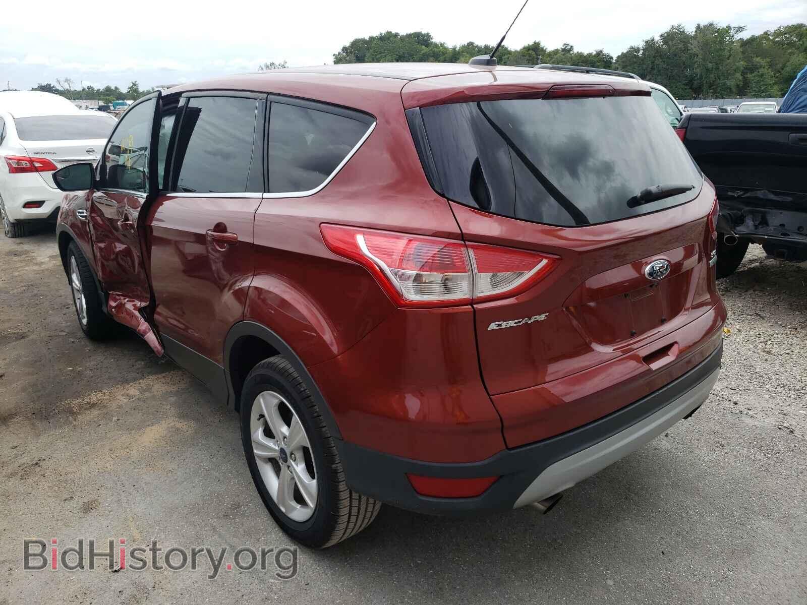 2014 FORD ESCAPE - VIN: 1FMCU0GX0EUE21233 - Фото 3