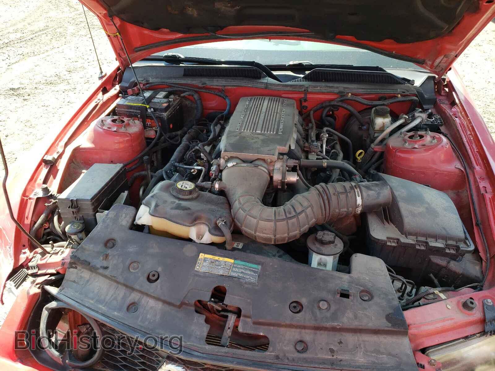 2009 FORD MUSTANG - VIN: 1ZVHT82H595126654 - Фото 7
