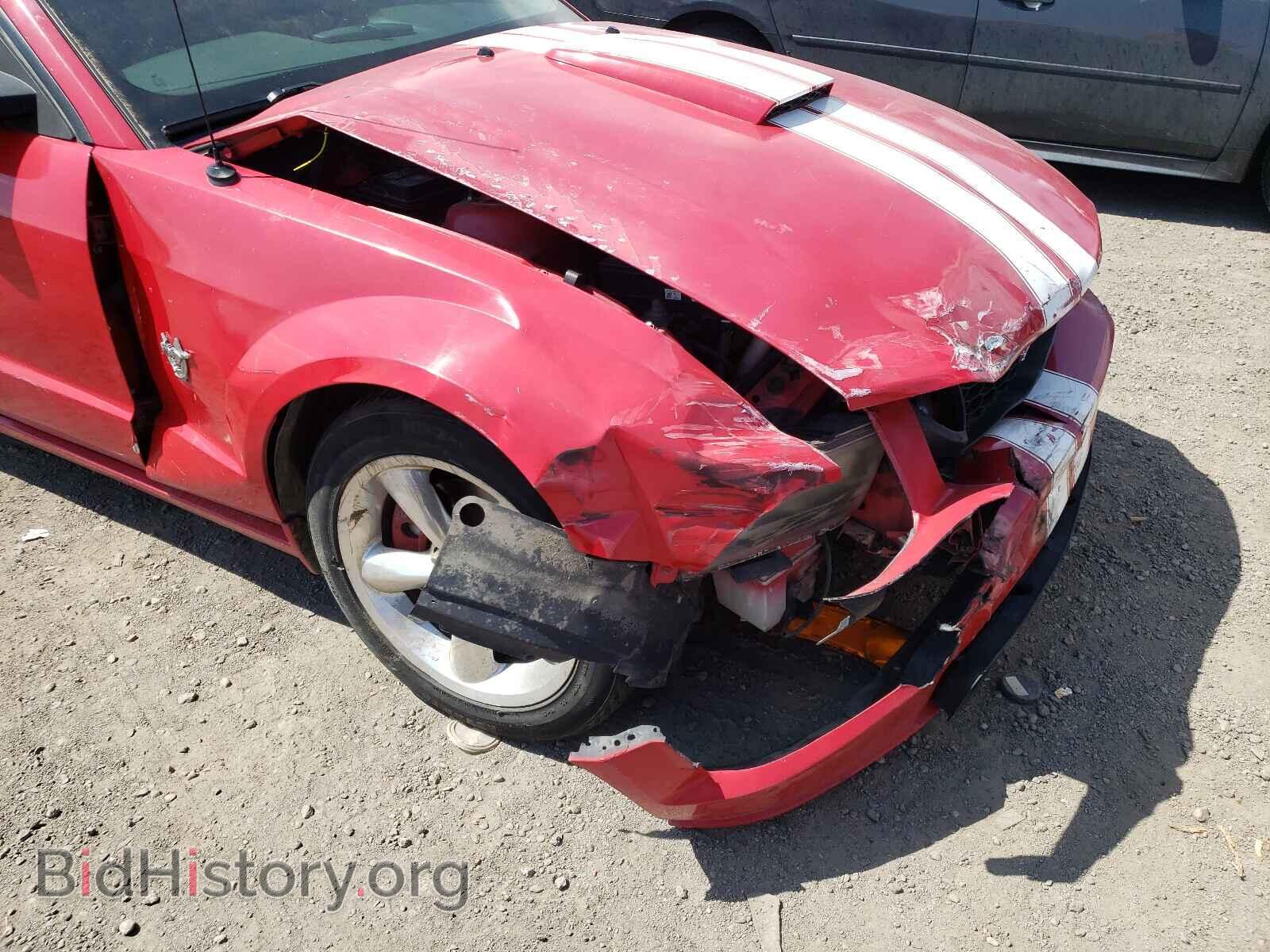 2009 FORD MUSTANG - VIN: 1ZVHT82H595126654 - Фото 9