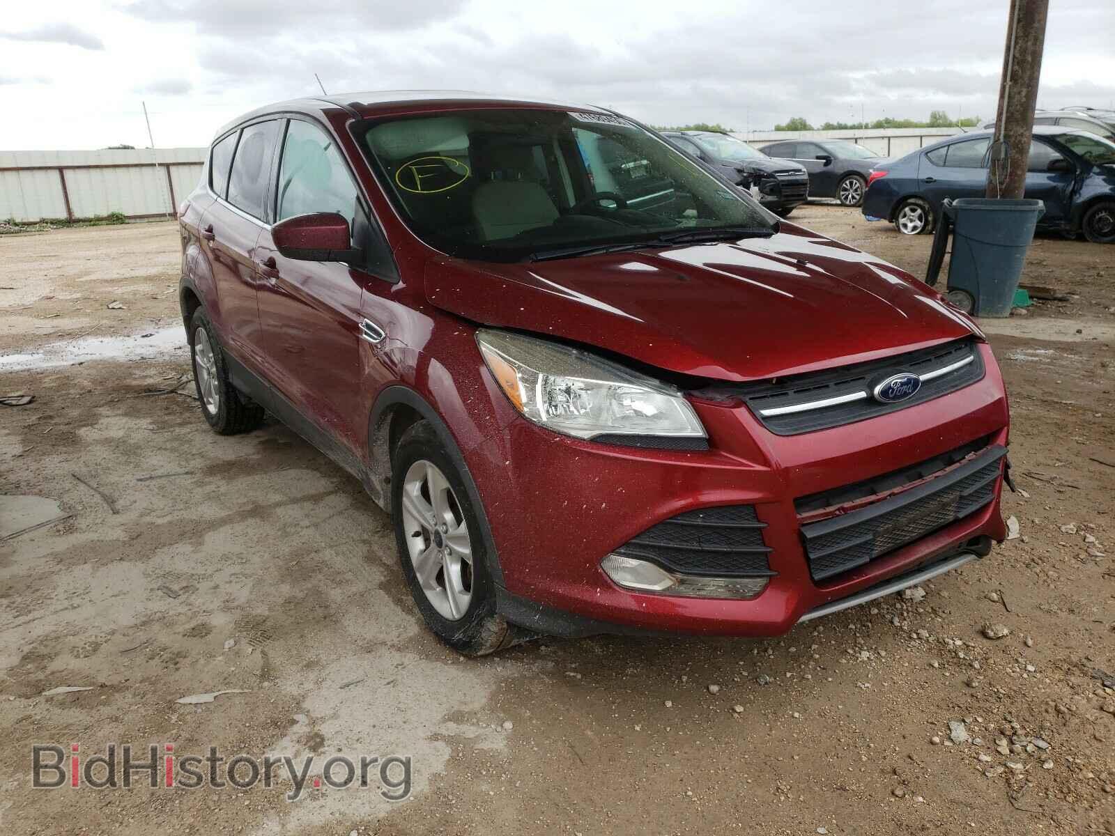 Фотография 1FMCU0GX4EUD72036 - FORD ESCAPE 2014