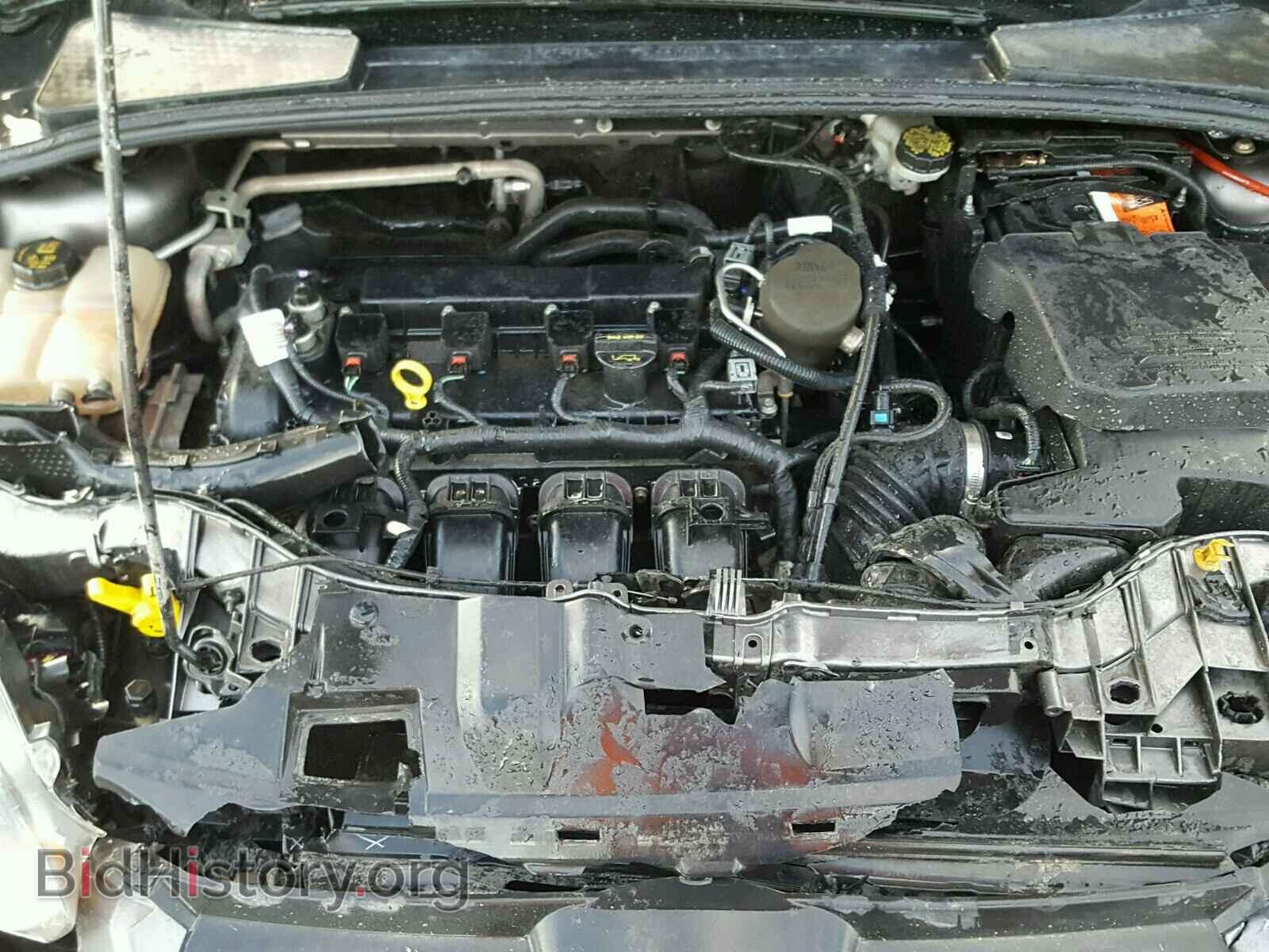 2013 FORD FOCUS - VIN: 1FADP3K24DL355504 - Фото 7
