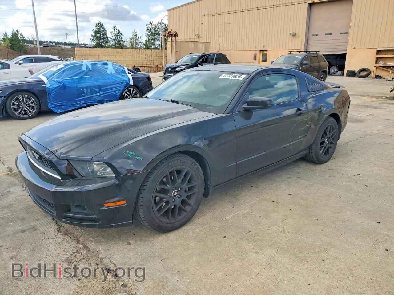 Фотография 1ZVBP8AM0E5318406 - FORD MUSTANG 2014