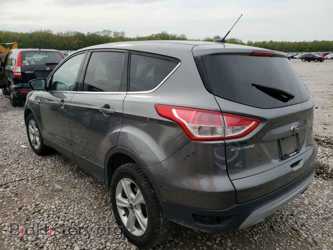 2014 FORD ESCAPE - VIN: 1FMCU0GX3EUD49959 - Фото 2