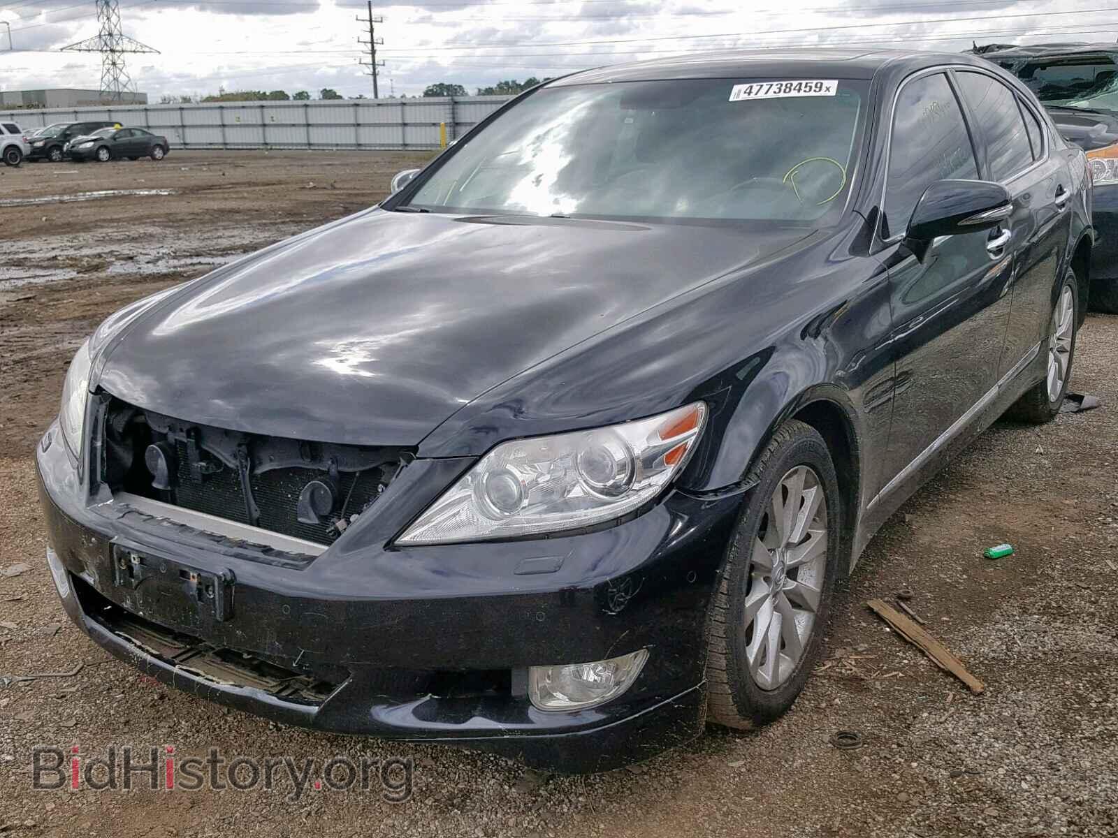 2010 LEXUS LS460 - VIN: JTHCL5EF4A5007180 - Фото 2
