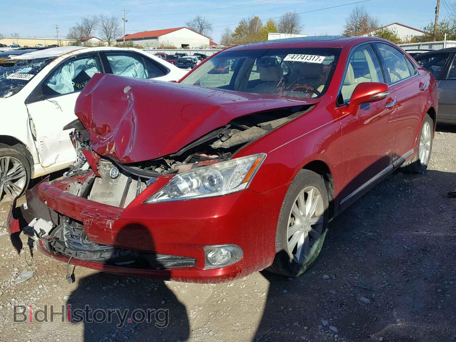 2010 LEXUS ES350 - VIN: JTHBK1EG1A2384034 - Фото 2